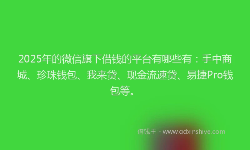 2025年的微信旗下借钱的平台有哪些有：手中商城、珍珠钱包、我来贷、现金流速贷、易捷Pro钱包等。