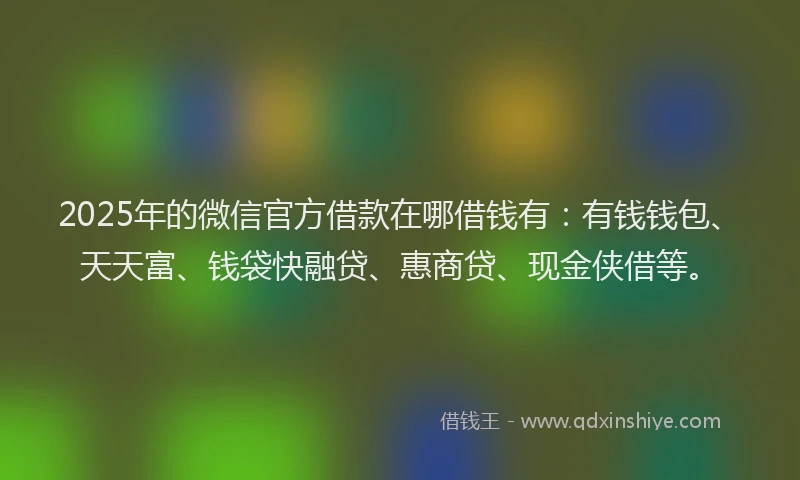 2025年的微信官方借款在哪借钱有：有钱钱包、天天富、钱袋快融贷、惠商贷、现金侠借等。