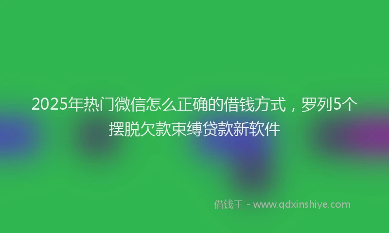2025年热门微信怎么正确的借钱方式，罗列5个摆脱欠款束缚贷款新软件