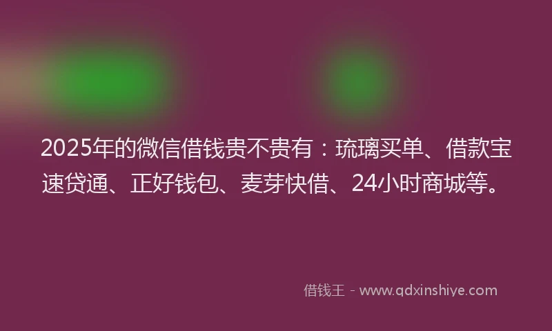 2025年的微信借钱贵不贵有：琉璃买单、借款宝速贷通、正好钱包、麦芽快借、24小时商城等。