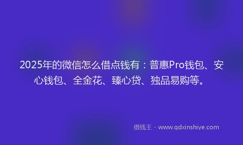 2025年的微信怎么借点钱有：普惠Pro钱包、安心钱包、全金花、臻心贷、独品易购等。