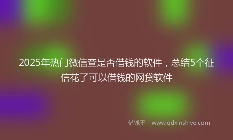 2025年热门微信查是否借钱的软件，总结5个征信花了可以借钱的网贷软件