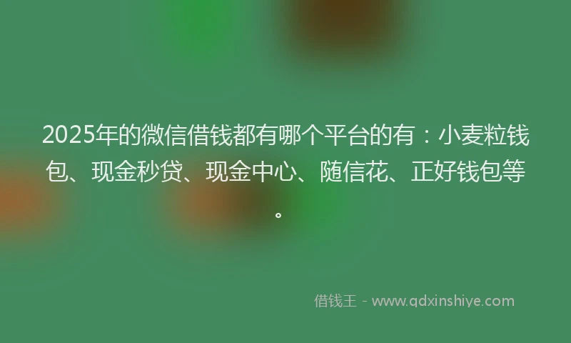 2025年的微信借钱都有哪个平台的有：小麦粒钱包、现金秒贷、现金中心、随信花、正好钱包等。