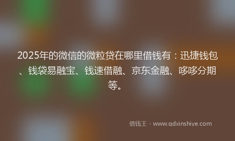 2025年的微信的微粒贷在哪里借钱有：迅捷钱包、钱袋易融宝、钱速借融、京东金融、哆哆分期等。