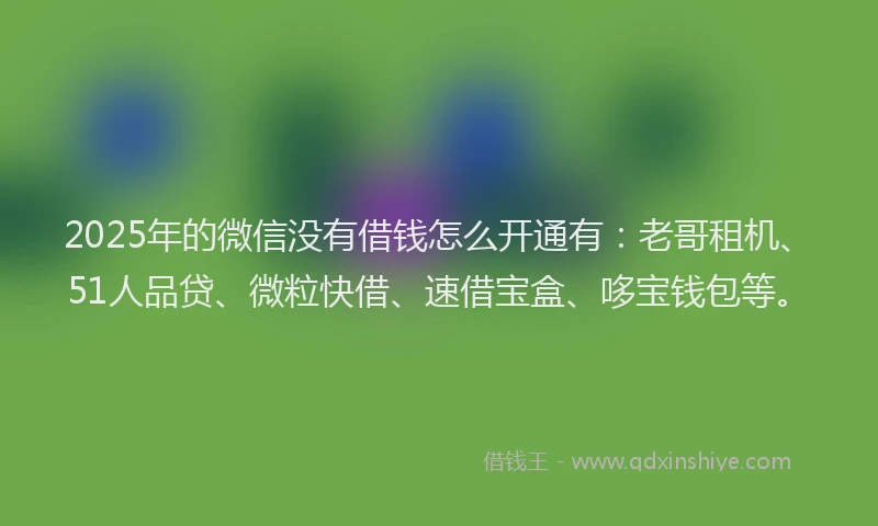 2025年的微信没有借钱怎么开通有：老哥租机、51人品贷、微粒快借、速借宝盒、哆宝钱包等。