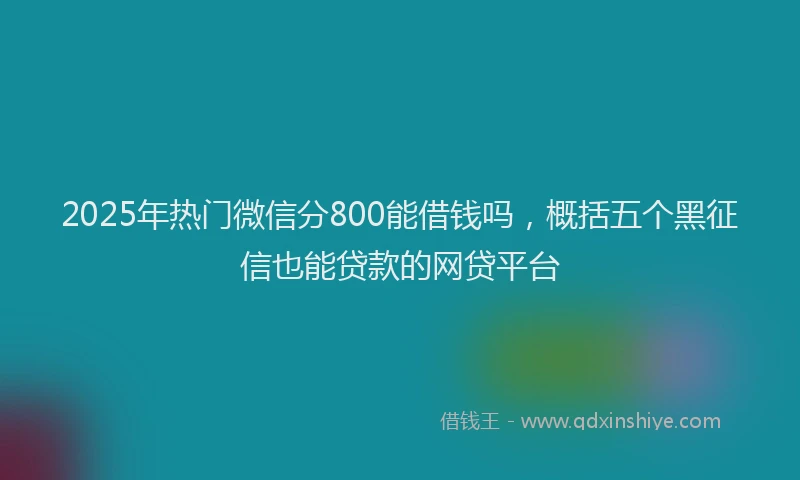 2025年热门微信分800能借钱吗，概括五个黑征信也能贷款的网贷平台