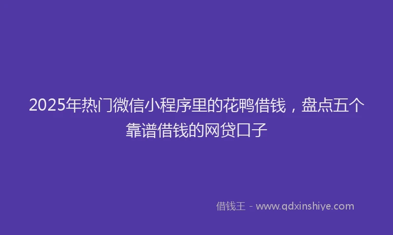 2025年热门微信小程序里的花鸭借钱，盘点五个靠谱借钱的网贷口子