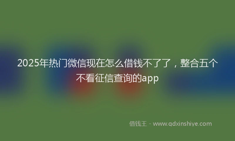 2025年热门微信现在怎么借钱不了了，整合五个不看征信查询的app