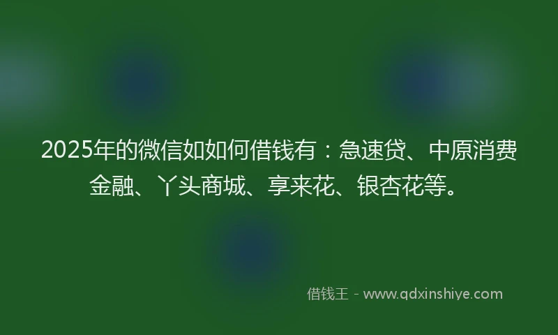 2025年的微信如如何借钱有：急速贷、中原消费金融、丫头商城、享来花、银杏花等。