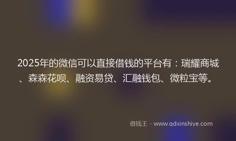 2025年的微信可以直接借钱的平台有：瑞耀商城、森森花呗、融资易贷、汇融钱包、微粒宝等。