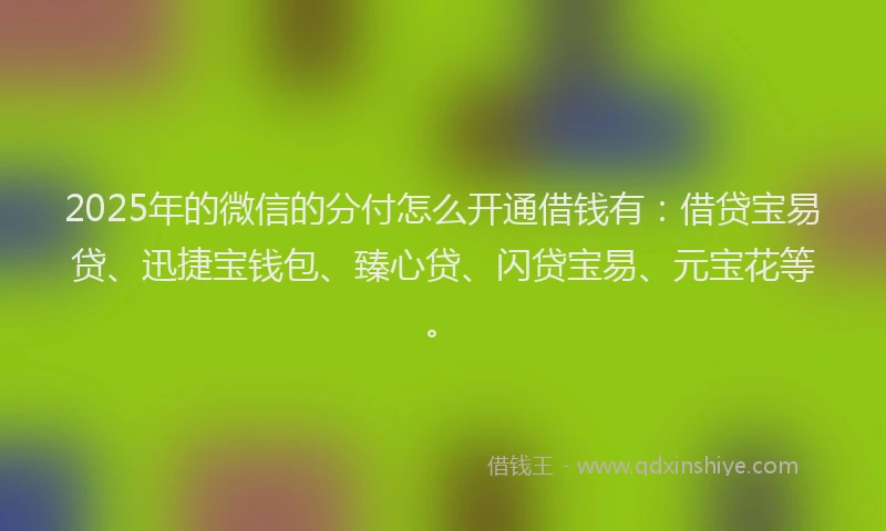 2025年的微信的分付怎么开通借钱有：借贷宝易贷、迅捷宝钱包、臻心贷、闪贷宝易、元宝花等。