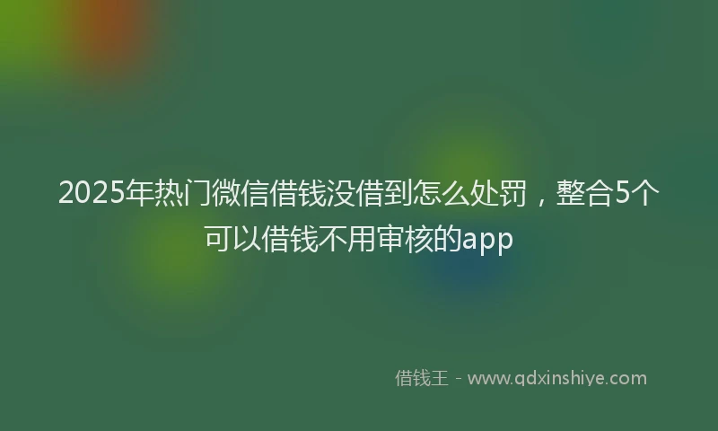 2025年热门微信借钱没借到怎么处罚，整合5个可以借钱不用审核的app