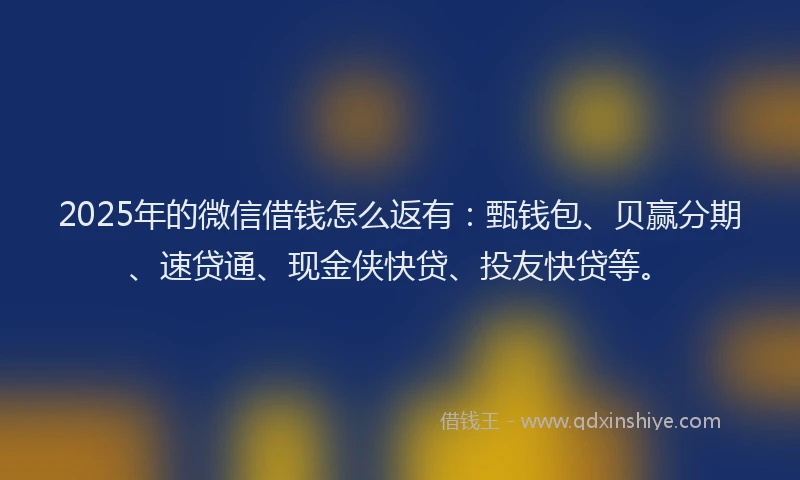 2025年的微信借钱怎么返有：甄钱包、贝赢分期、速贷通、现金侠快贷、投友快贷等。