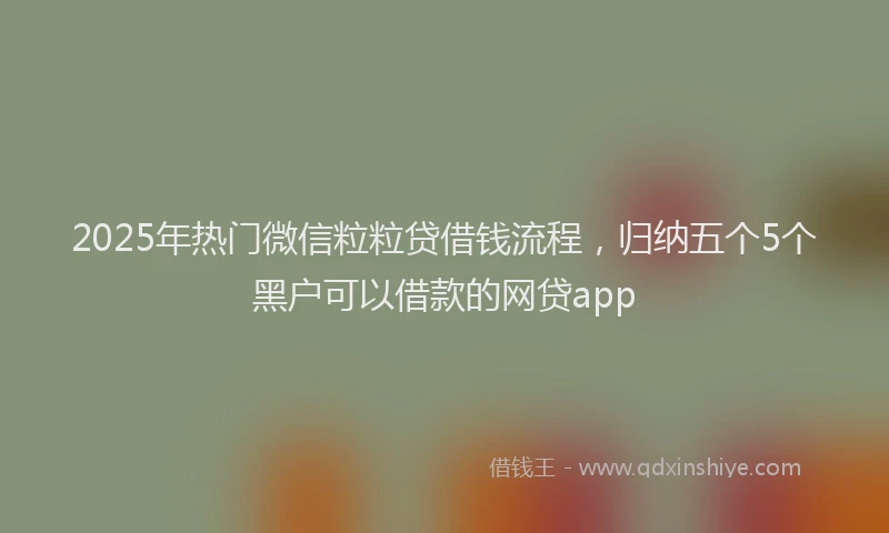 2025年热门微信粒粒贷借钱流程，归纳五个5个黑户可以借款的网贷app