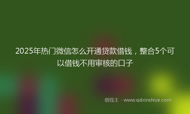 2025年热门微信怎么开通贷款借钱，整合5个可以借钱不用审核的口子