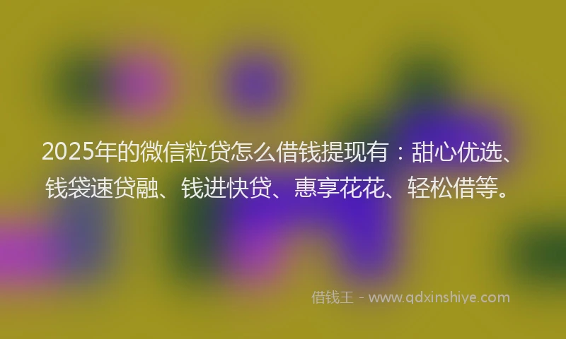 2025年的微信粒贷怎么借钱提现有：甜心优选、钱袋速贷融、钱进快贷、惠享花花、轻松借等。