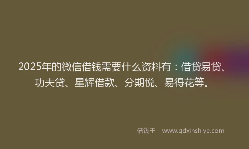 2025年的微信借钱需要什么资料有：借贷易贷、功夫贷、星辉借款、分期悦、易得花等。