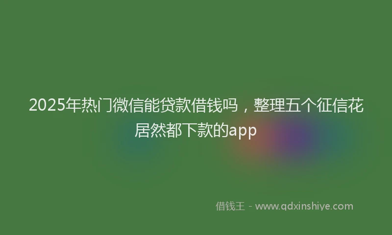 2025年热门微信能贷款借钱吗，整理五个征信花居然都下款的app