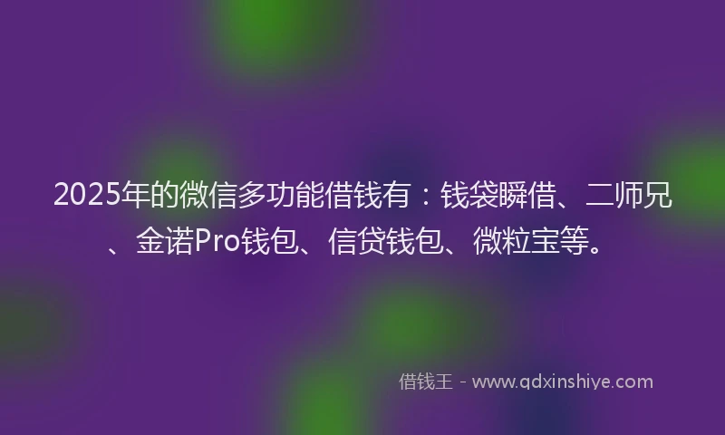 2025年的微信多功能借钱有：钱袋瞬借、二师兄、金诺Pro钱包、信贷钱包、微粒宝等。