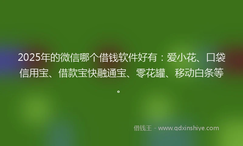 2025年的微信哪个借钱软件好有：爱小花、口袋信用宝、借款宝快融通宝、零花罐、移动白条等。