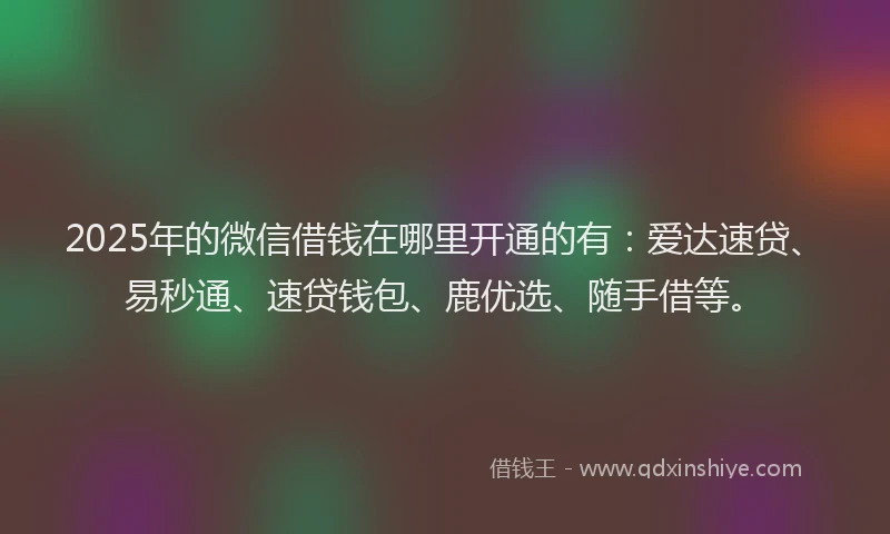 2025年的微信借钱在哪里开通的有：爱达速贷、易秒通、速贷钱包、鹿优选、随手借等。