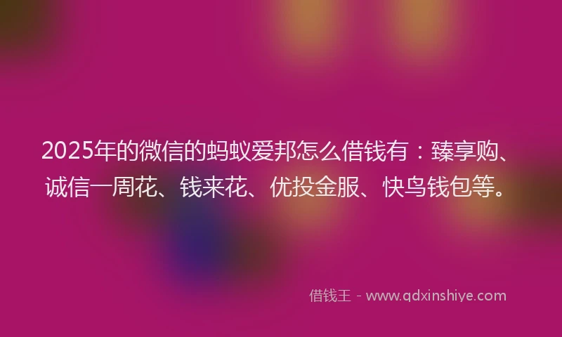 2025年的微信的蚂蚁爱邦怎么借钱有：臻享购、诚信一周花、钱来花、优投金服、快鸟钱包等。