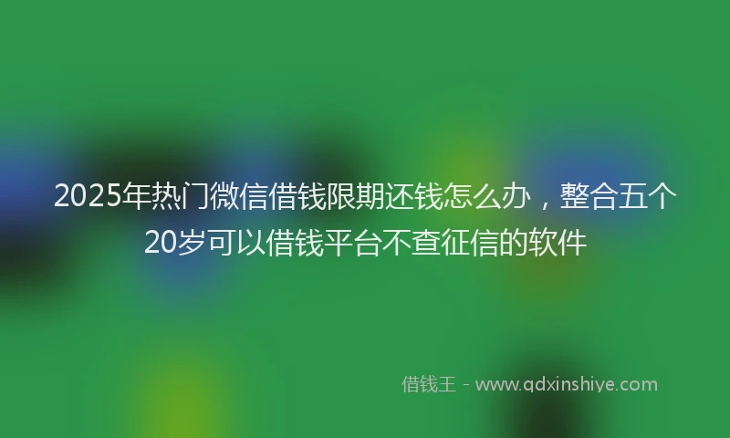 2025年热门微信借钱限期还钱怎么办，整合五个20岁可以借钱平台不查征信的软件