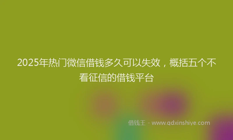 2025年热门微信借钱多久可以失效，概括五个不看征信的借钱平台