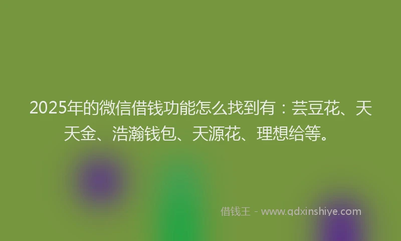 2025年的微信借钱功能怎么找到有：芸豆花、天天金、浩瀚钱包、天源花、理想给等。