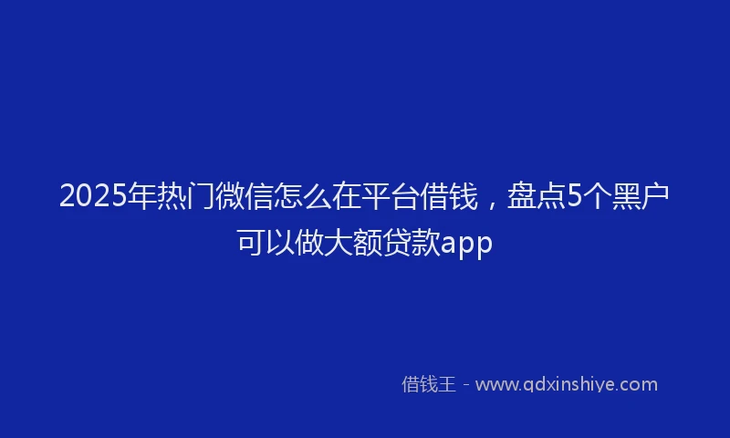 2025年热门微信怎么在平台借钱，盘点5个黑户可以做大额贷款app