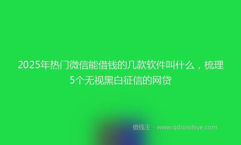 2025年热门微信能借钱的几款软件叫什么，梳理5个无视黑白征信的网贷