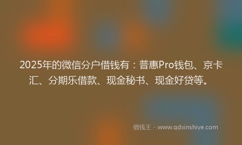 2025年的微信分户借钱有：普惠Pro钱包、京卡汇、分期乐借款、现金秘书、现金好贷等。