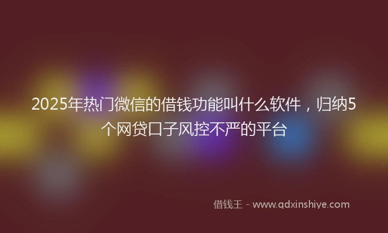 2025年热门微信的借钱功能叫什么软件，归纳5个网贷口子风控不严的平台