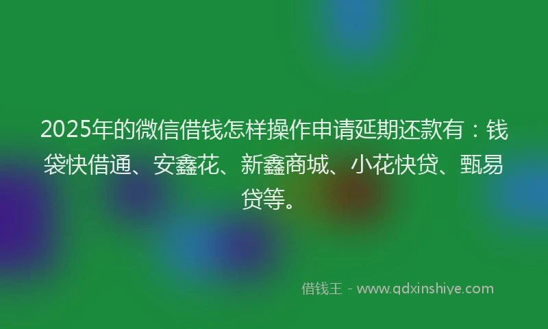 2025年的微信借钱怎样操作申请延期还款有：钱袋快借通、安鑫花、新鑫商城、小花快贷、甄易贷等。