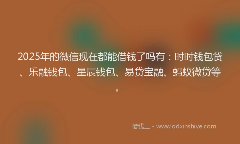 2025年的微信现在都能借钱了吗有：时时钱包贷、乐融钱包、星辰钱包、易贷宝融、蚂蚁微贷等。