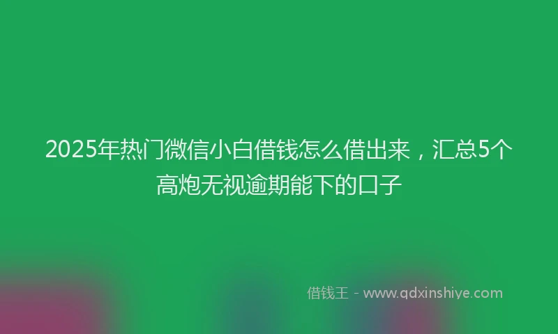 2025年热门微信小白借钱怎么借出来，汇总5个高炮无视逾期能下的口子