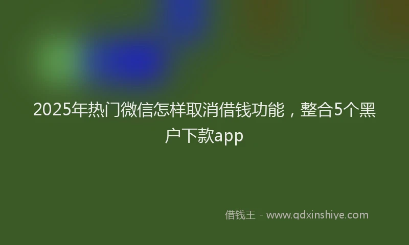 2025年热门微信怎样取消借钱功能，整合5个黑户下款app