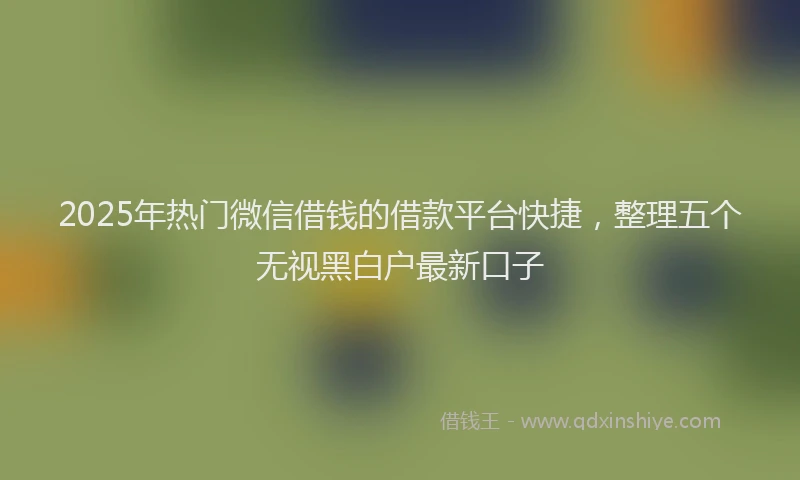 2025年热门微信借钱的借款平台快捷，整理五个无视黑白户最新口子