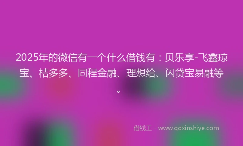 2025年的微信有一个什么借钱有：贝乐享-飞鑫琼宝、桔多多、同程金融、理想给、闪贷宝易融等。