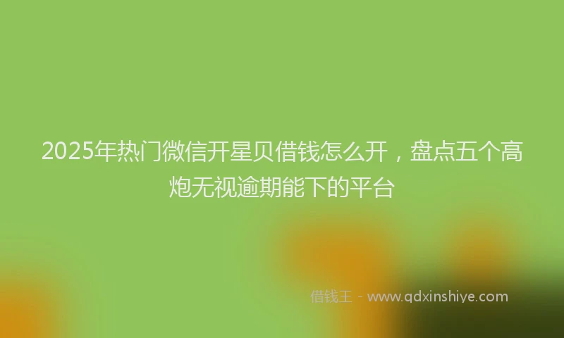 2025年热门微信开星贝借钱怎么开，盘点五个高炮无视逾期能下的平台