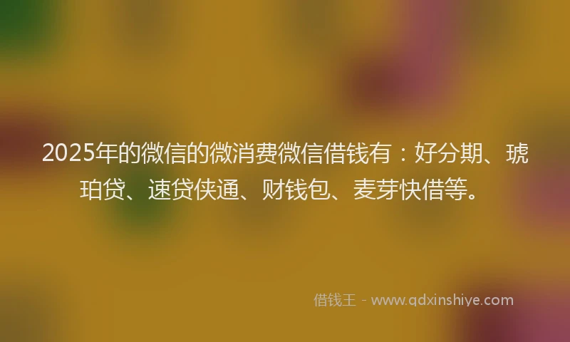 2025年的微信的微消费微信借钱有：好分期、琥珀贷、速贷侠通、财钱包、麦芽快借等。