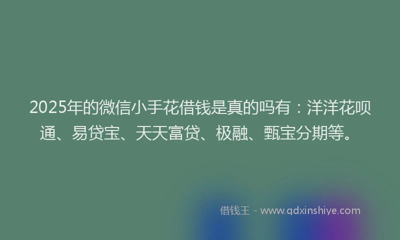 2025年的微信小手花借钱是真的吗有：洋洋花呗通、易贷宝、天天富贷、极融、甄宝分期等。