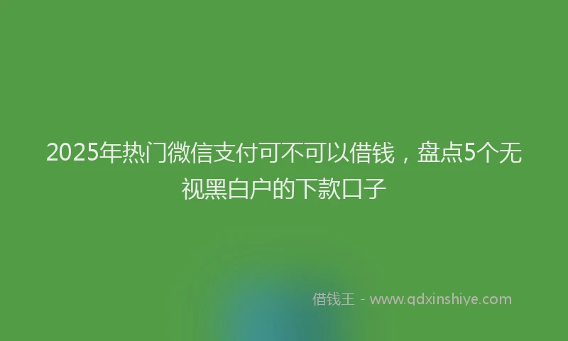 2025年热门微信支付可不可以借钱，盘点5个无视黑白户的下款口子