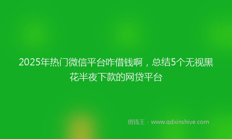 2025年热门微信平台咋借钱啊，总结5个无视黑花半夜下款的网贷平台