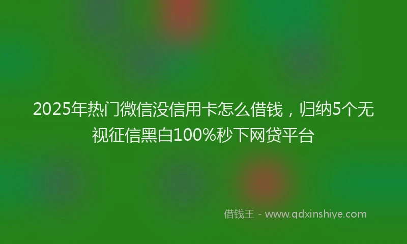 2025年热门微信没信用卡怎么借钱，归纳5个无视征信黑白100%秒下网贷平台