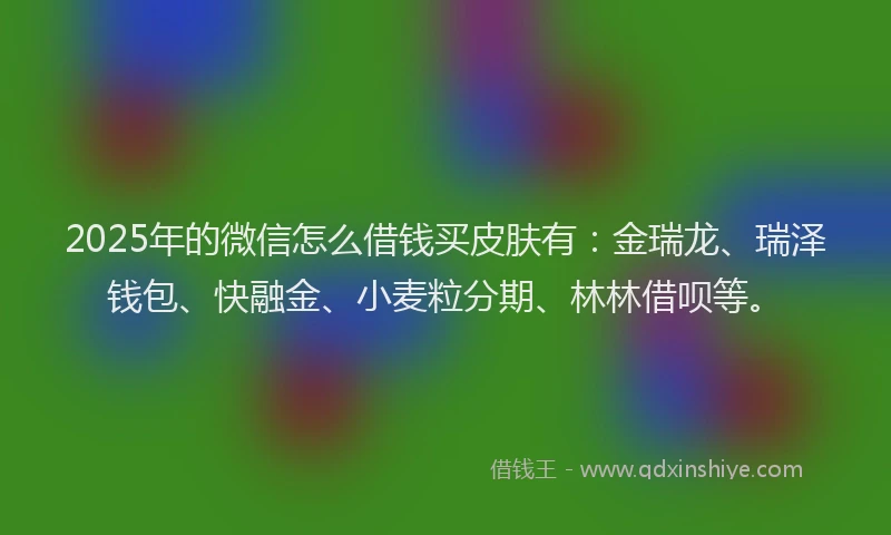 2025年的微信怎么借钱买皮肤有：金瑞龙、瑞泽钱包、快融金、小麦粒分期、林林借呗等。