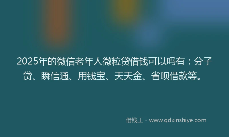 2025年的微信老年人微粒贷借钱可以吗有：分子贷、瞬信通、用钱宝、天天金、省呗借款等。