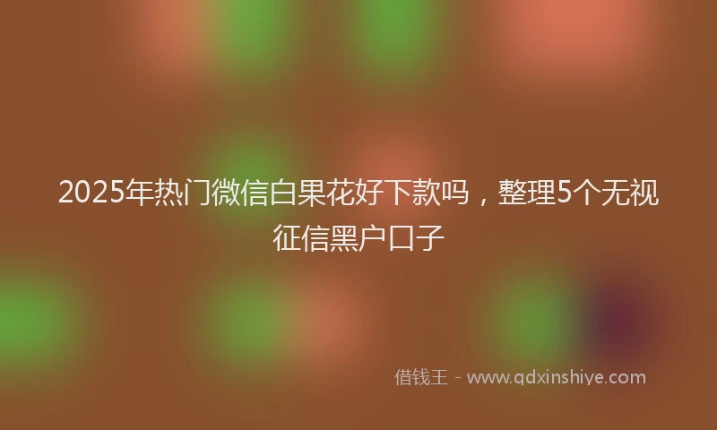 2025年热门微信白果花好下款吗，整理5个无视征信黑户口子