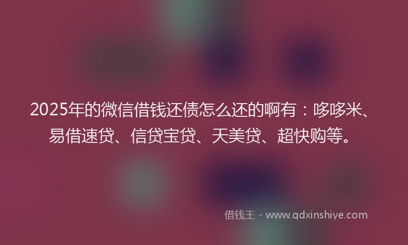 2025年的微信借钱还债怎么还的啊有：哆哆米、易借速贷、信贷宝贷、天美贷、超快购等。