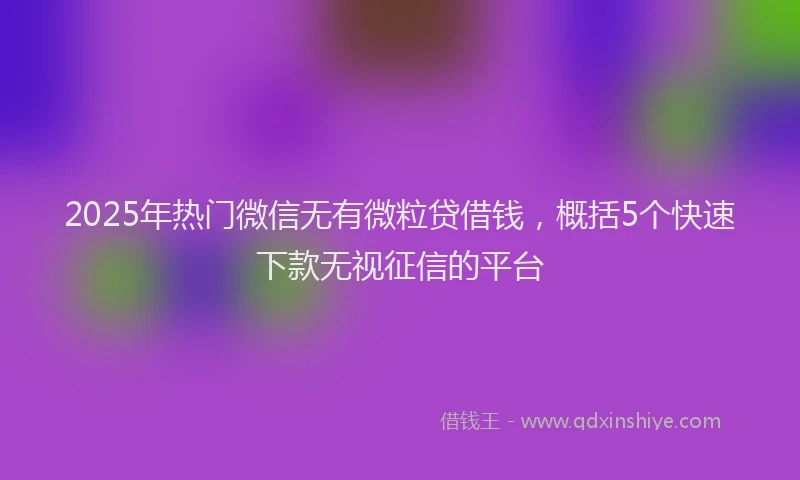 2025年热门微信无有微粒贷借钱，概括5个快速下款无视征信的平台